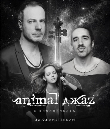 Animal Jazz - Cello version - Amsterdam
